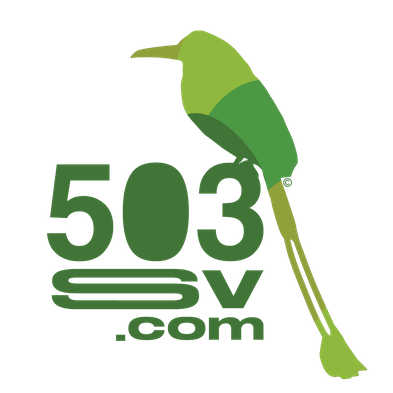 503sv.com Logo