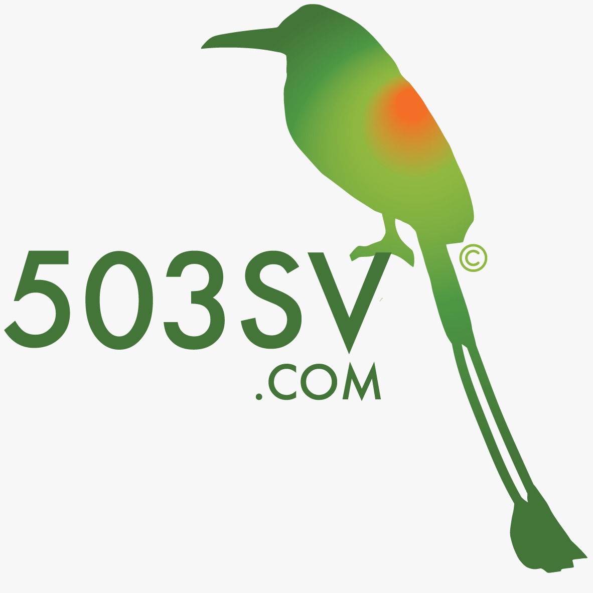 503sv.com Logo